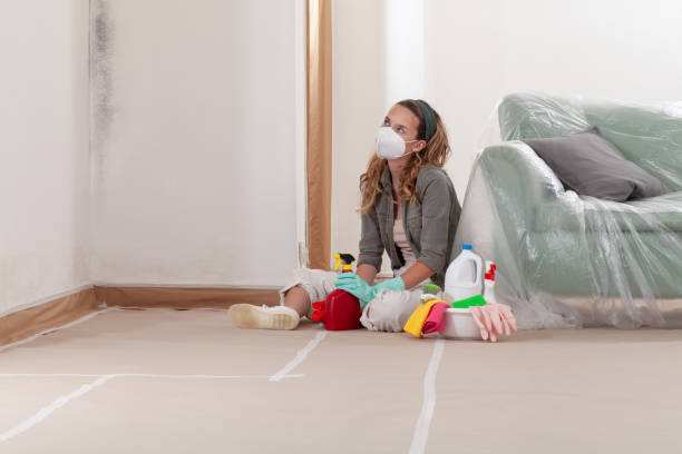 Reliable Commercial Mold Remediation contractor in Golf, IL by WQB Mold Removal